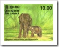 Ceylon Stamp On Asian Elephant